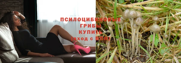 мет Елизово