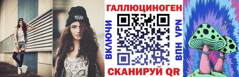 Псилоцибиновые грибы Psilocybe  Саянск 