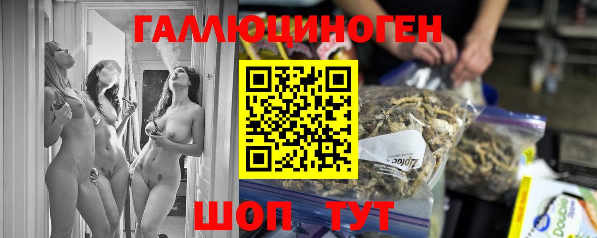 Галлюциногенные грибы мухоморы Саянск