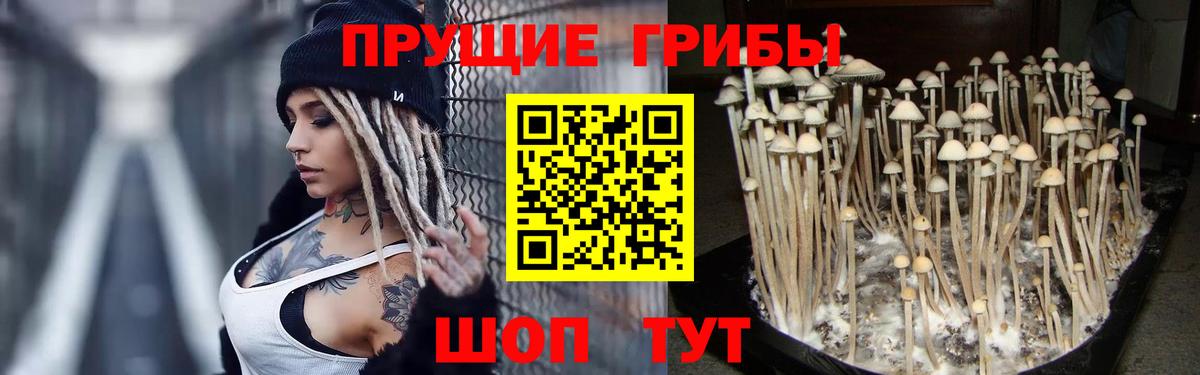 Саянск  хочу   Вход с VPN  Псилоцибиновые грибы Magic Shrooms  Галлюциногенные грибы Magic Shrooms 